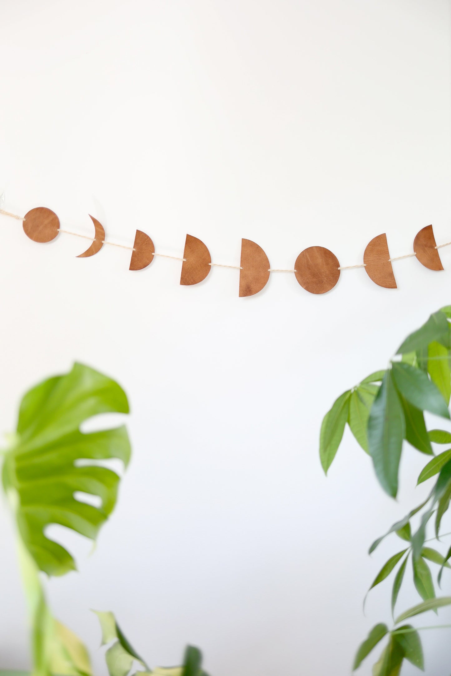 Luna Moon Phase Garland