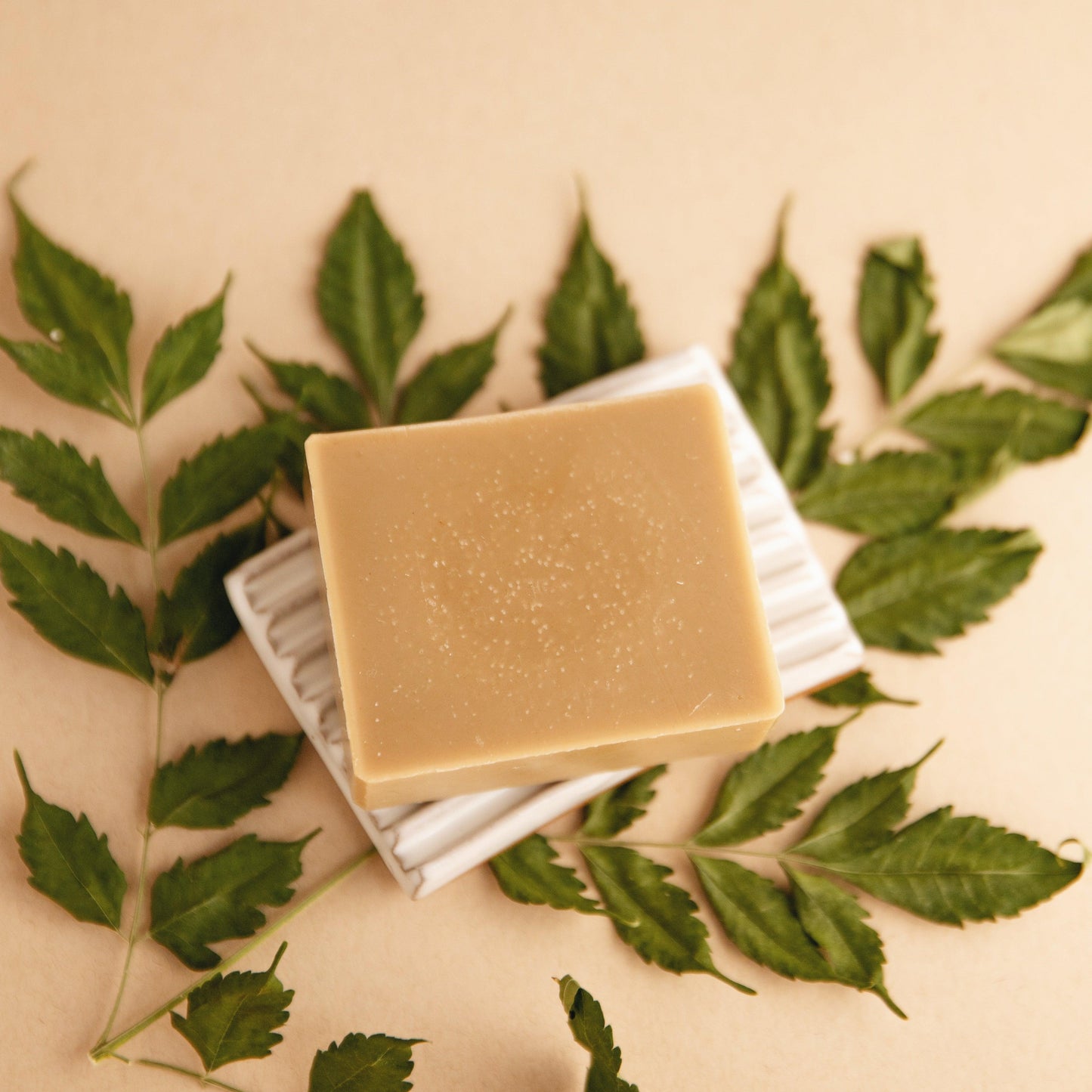 Forest Bathing - Natural Bar Soap